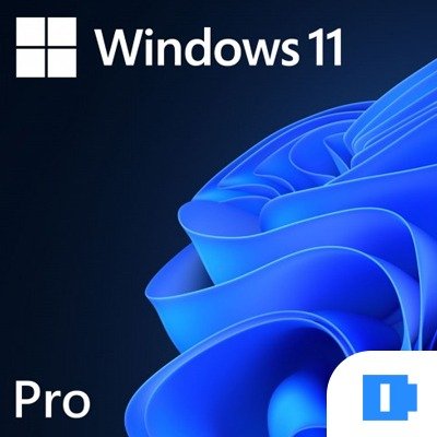 Windows 11 Pro